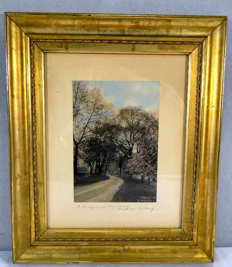 Wallace Nutting colored photograph "A Fragrant Highway": Wallace Nutting colored photograph "A Fragrant Highway", image size 4.5" X 6.5", bright colors