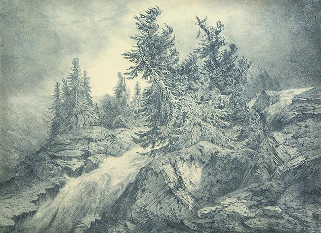 DEUTSCHER KÜNSTLER: Gebirgsbach zwischen Tannen. (1 of 1)