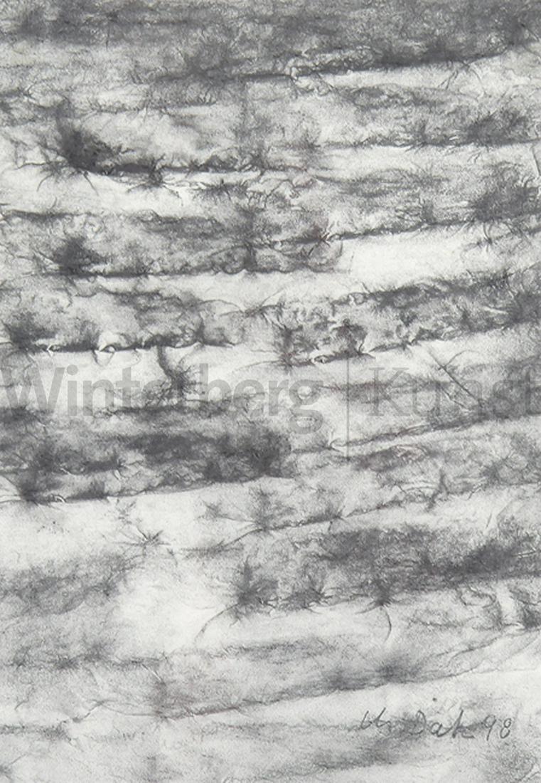 MADELEINE DIETZ: Ohne Titel.: MADELEINE DIETZ Mannheim 1953 - tätig in Godramstein Ohne Titel. Frottage mit Graphitstaub über Seidenpapier (Abrieb getrockneter Erdschollen) 1998. Signiert und datiert. 20,5 x 14,2 cm. Auf Unterla