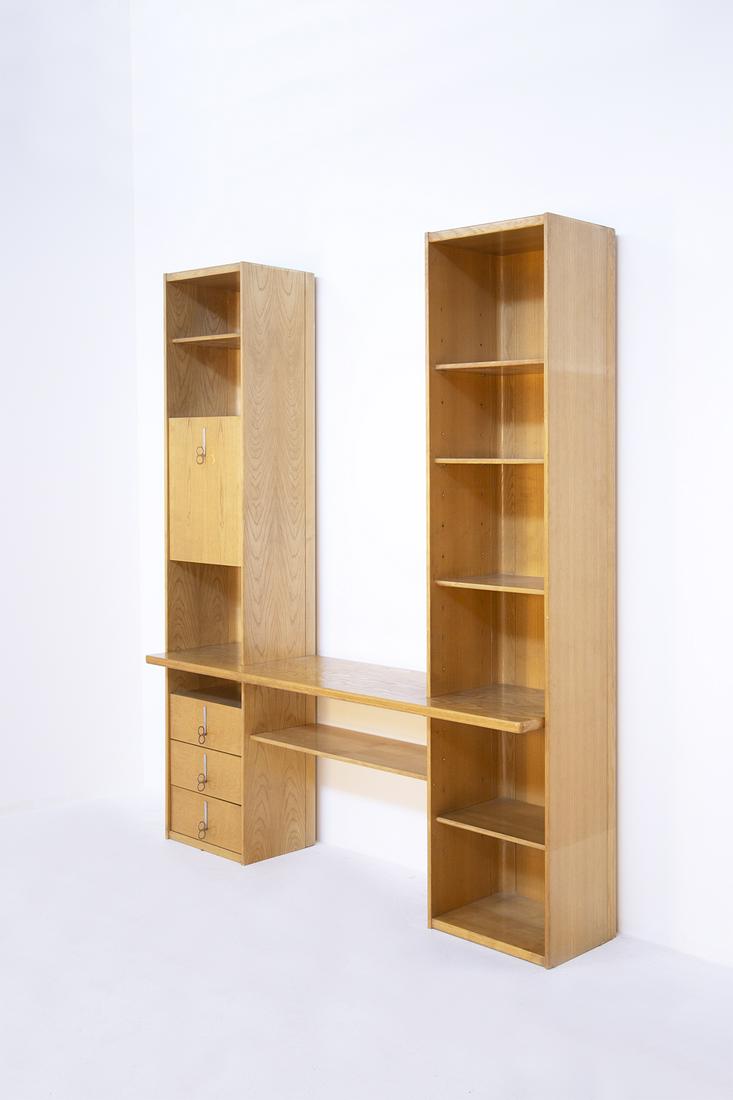 Vittorio Introini Bookcase and desk Mod Pellican, 1970s (1 of 16)