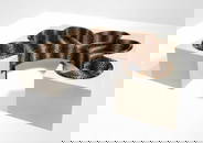 Group Archizoom Safari Sofa