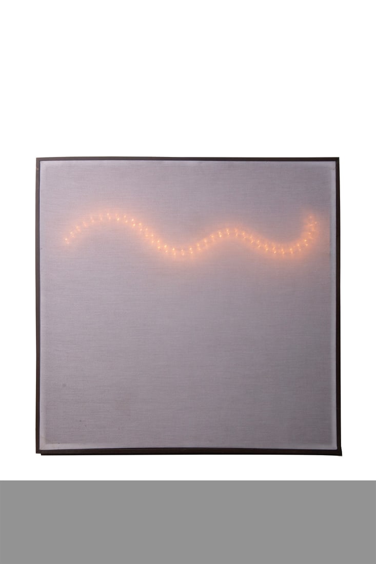 Light panel (1 of 1)