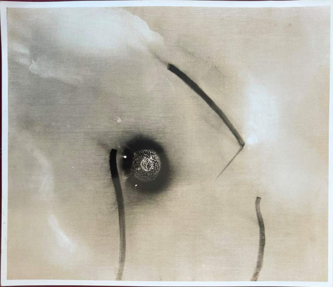 ENRICO DONATI (1 of 2)