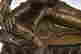 item-83426392=9