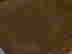 item-83426393=3