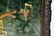 GREEN JADE WITH HARD STONE FLOOR SCREEN - 3