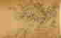 item-119345832=6