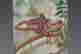 item-133700152=5