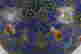 item-133700197=7