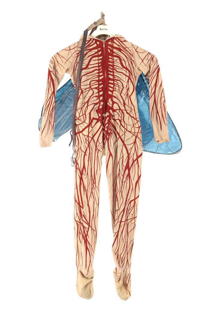 Costume 'Butterfly' from the family performance (1 of 1)