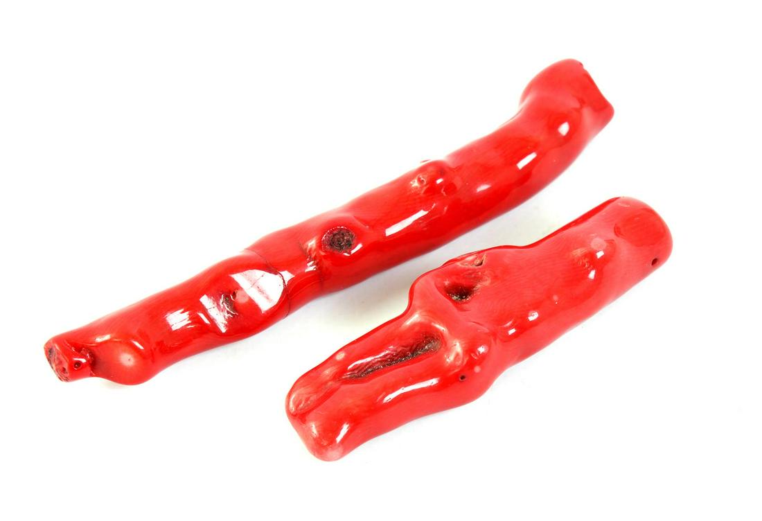 2 pieces of petrified red coral bamboo, petrified root (1 of 1)