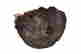 item-131347123=4