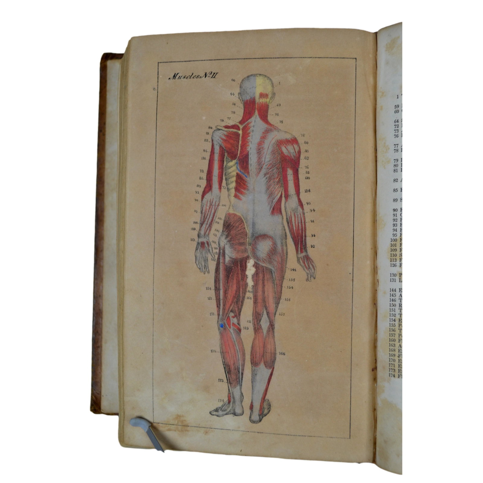 Pub. 1841, "Domestic Medicine or A Treatise on the Prevention and Cure of Disease, by Regimen and: "Domestic Medicine or A Treatise on the Prevention and Cure of Disease, by Regimen and Simple Medicine", Author: William Buchan, MD., Publisher: JB Williams Publishing, Publish Date: 1841. Book is bou