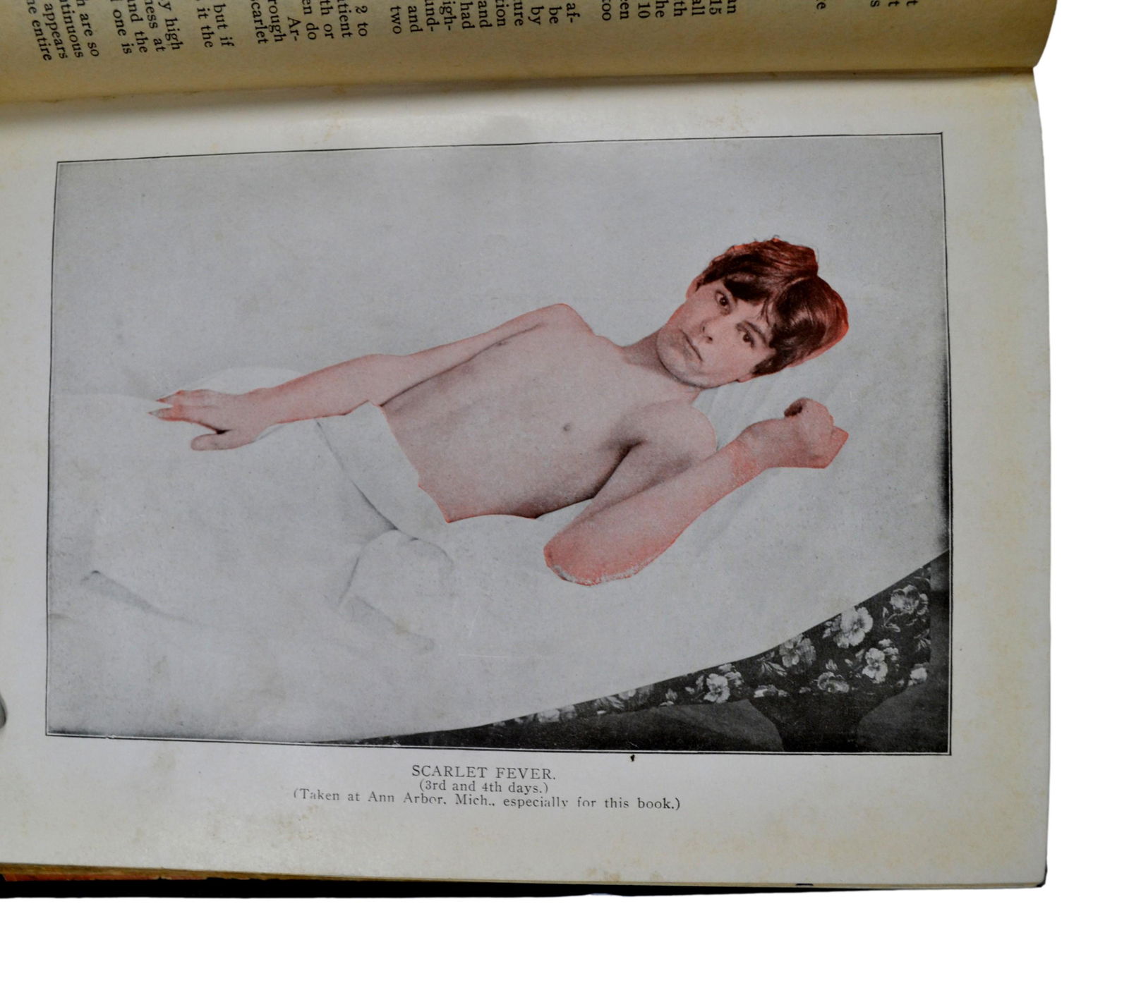 Pub. 1917, Illustrated Colour Plates, "The People's Home Library, a Library of Three Practical Books (1 of 9)