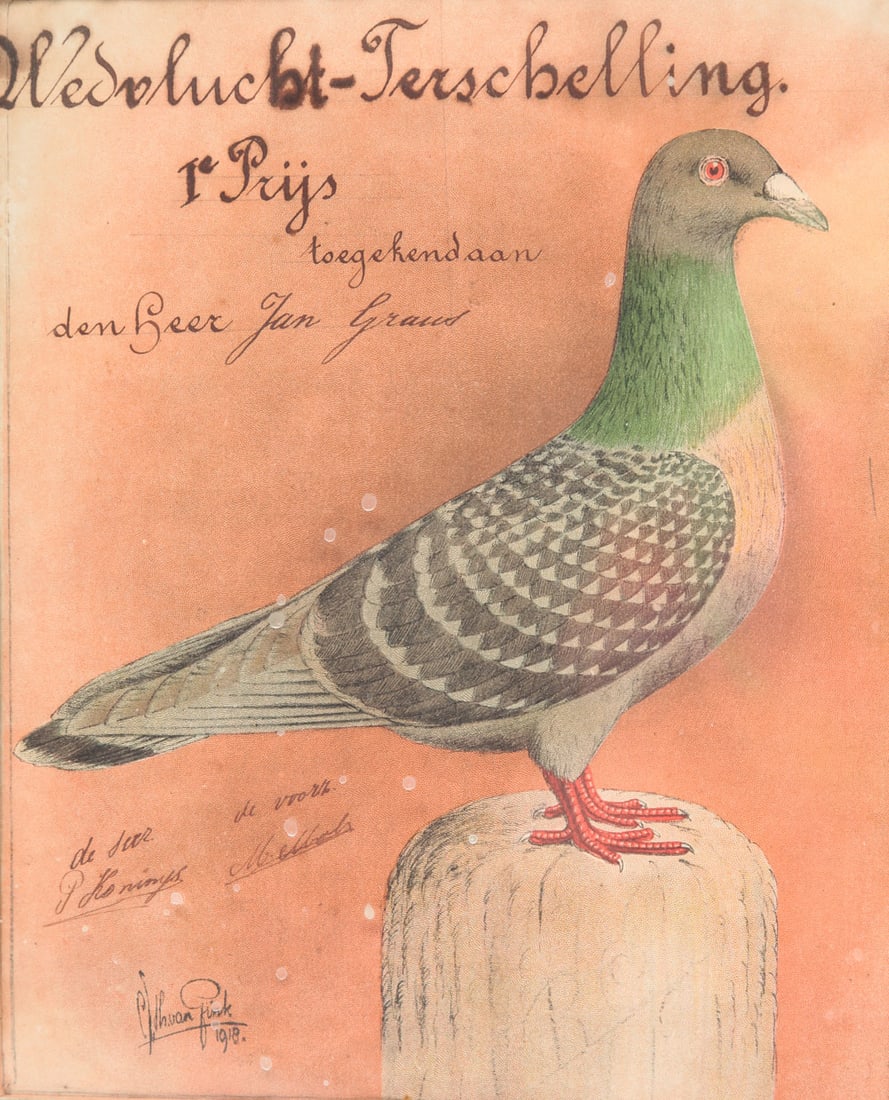 DUTCH PRINT OF RACING PIGEON. (1 of 5)
