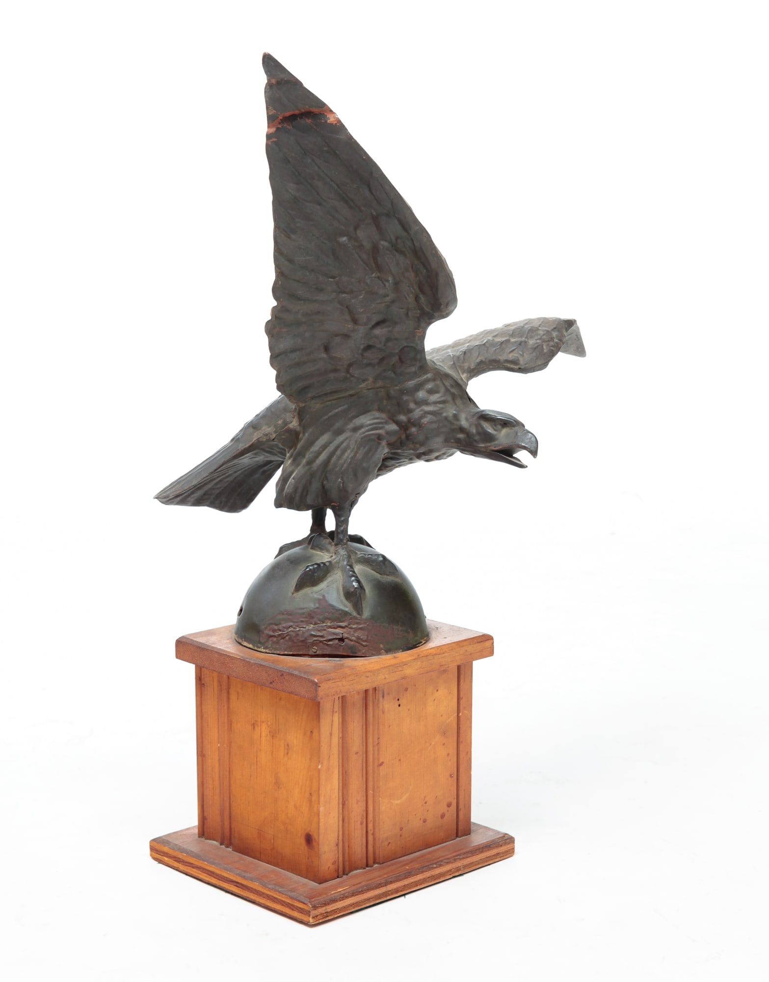 FULL BODIED EAGLE. (1 of 4)