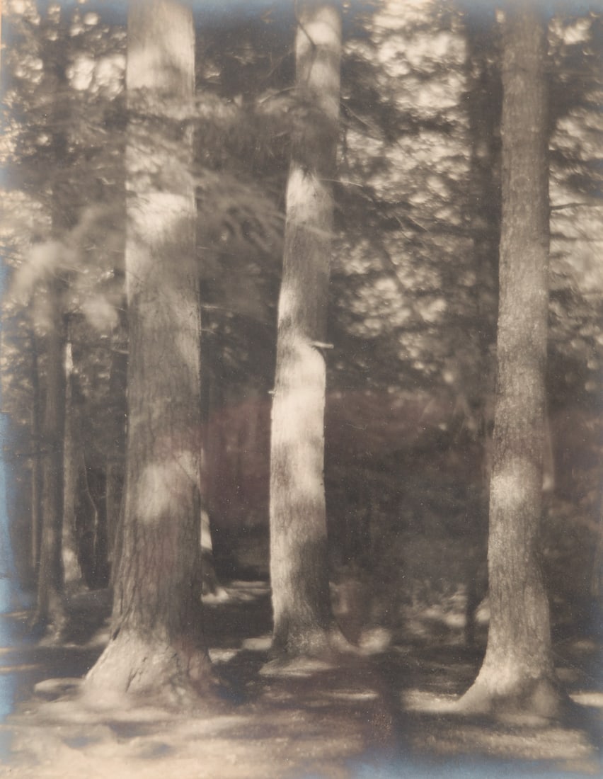 PHOTOGRAPH BY CLARA E. SIPPRELL (1885-1975). (1 of 4)