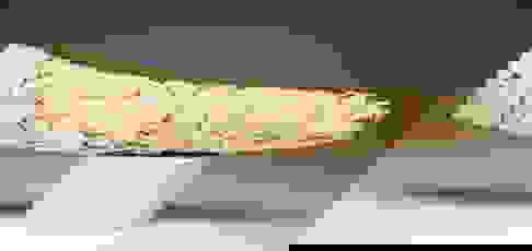 Antique Carved Ivory Tusk. Auction