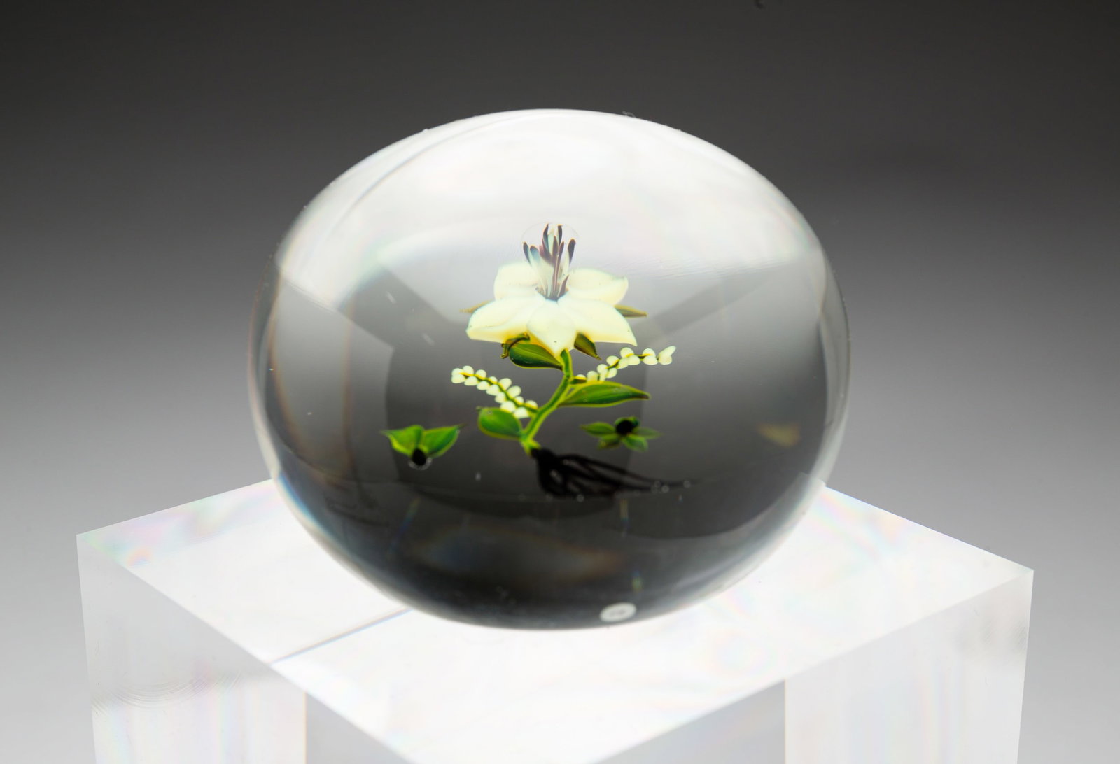 PAUL STANKARD YELLOW FLOWER BLOSSOM ART GLASS PAPERWEIGHT. (1 of 4)