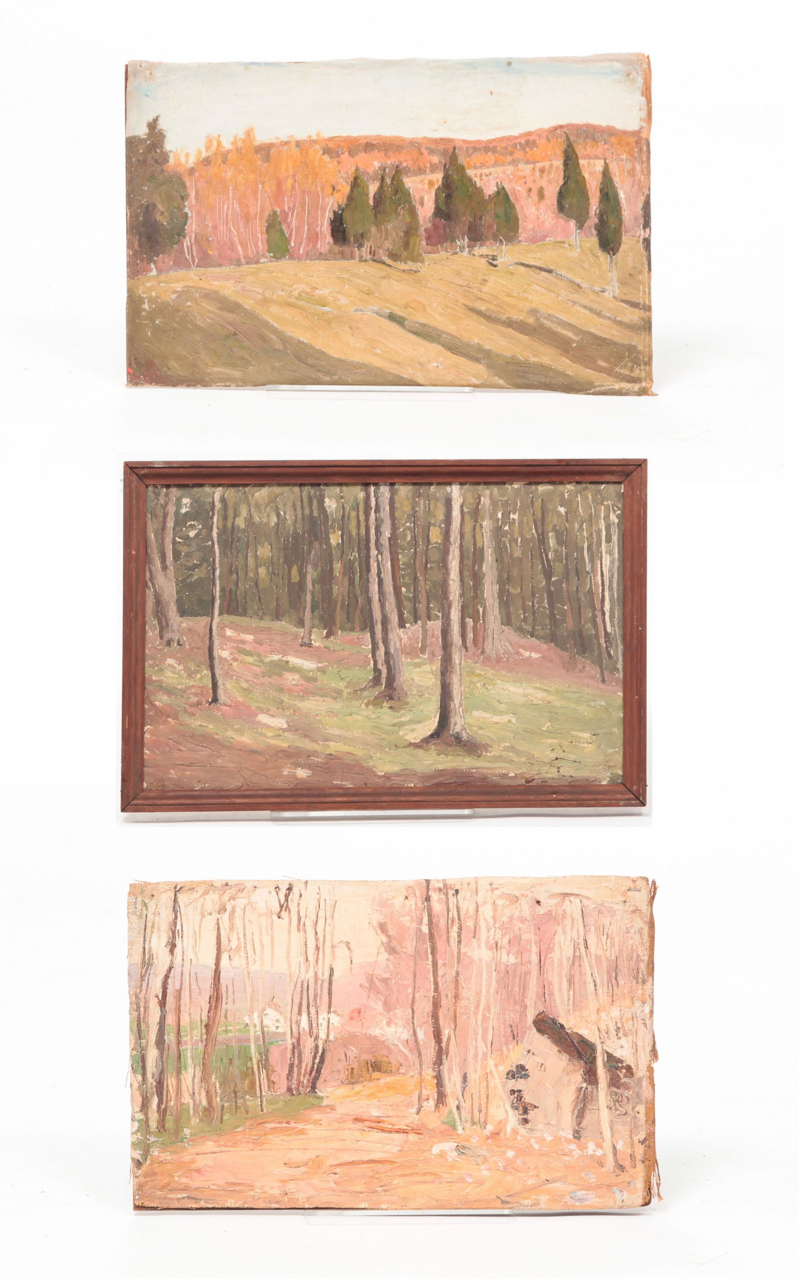 THREE WOODED LANDSCAPES BY ROBERT BOLLING BRANDEGEE (1849 - 1922). (1 of 12)