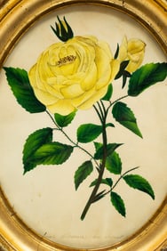 UNKNOWN ARTIST (LATE 19TH CENTURY) "STILL LIFE".