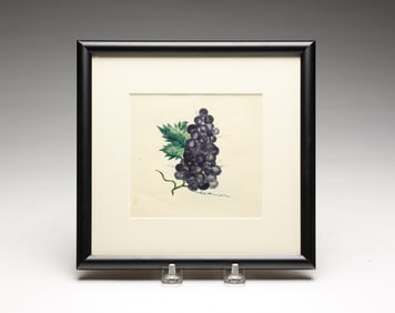 GRAPES POSSIBLY BY ROBERT BOLLING BRANDEGEE.