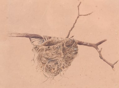 "BIRD'S NEST" BY ROBERT BOLLING BRANDEGEE.