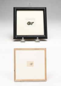 TWO ACORN ARTWORKS BY ROBERT BOLLING BRANDEGEE (1849 - 1922).