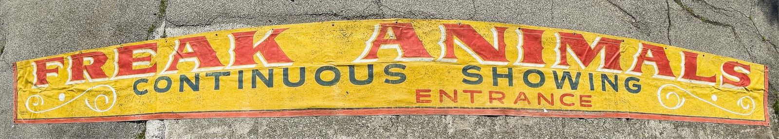 CIRCUS BANNER, FREAKORAMA (1 of 1)