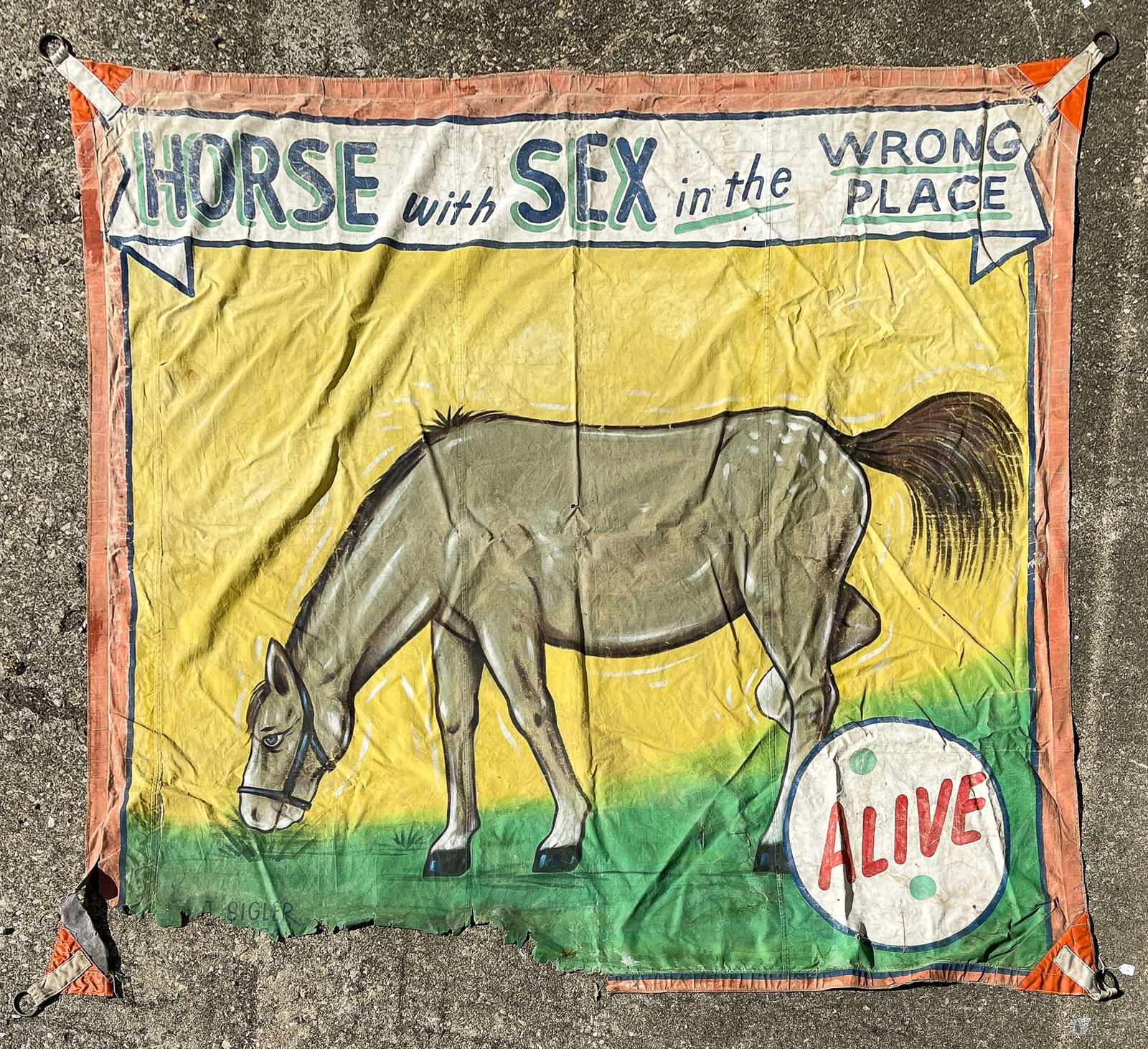 CIRCUS BANNER, WRONG SEX (1 of 1)