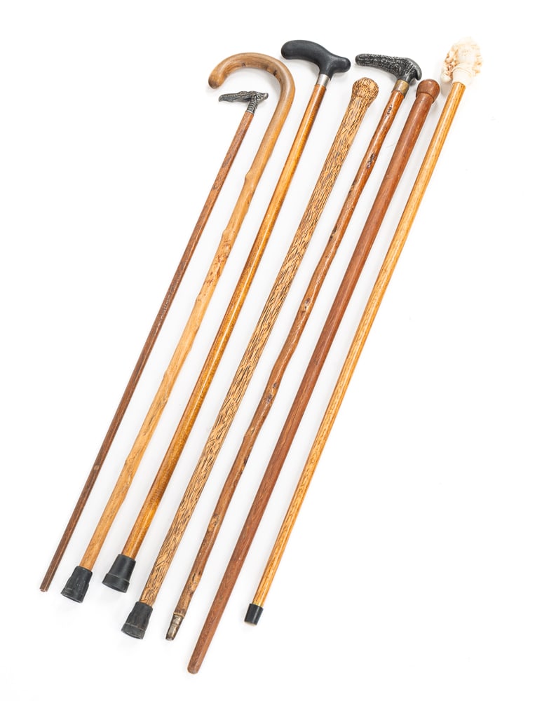 SEVEN WOOD CANES.: One topped with a meerschaum head of a nobleman, two with metal derby handles, one with a plastic derby handle, two with knob handles, and one of knobby hardwood with a crook handle.