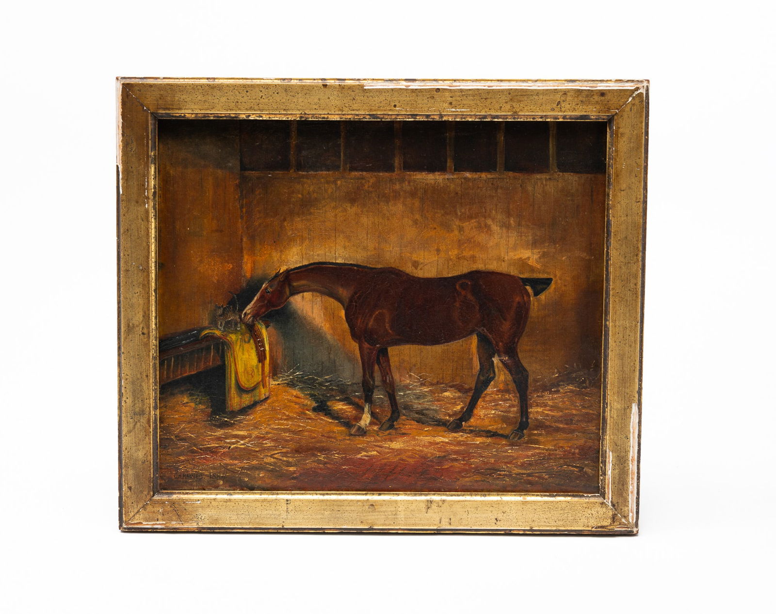 PORTRAIT OF A HORSE. (1 of 3)