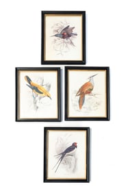 FOUR FRAMED BIRD PRINTS.