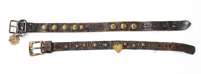 TWO DOG COLLARS.