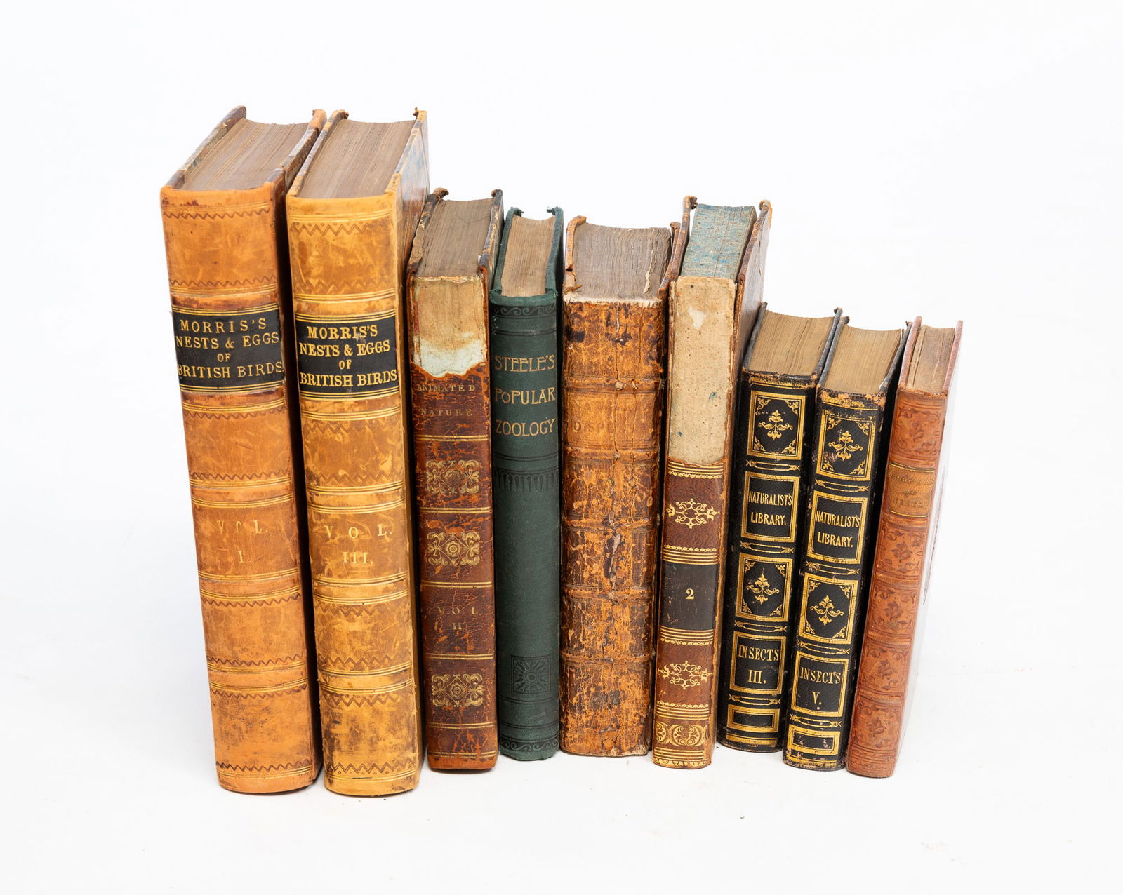 GROUP OF NATURAL HISTORY BOOKS. (1 of 7)