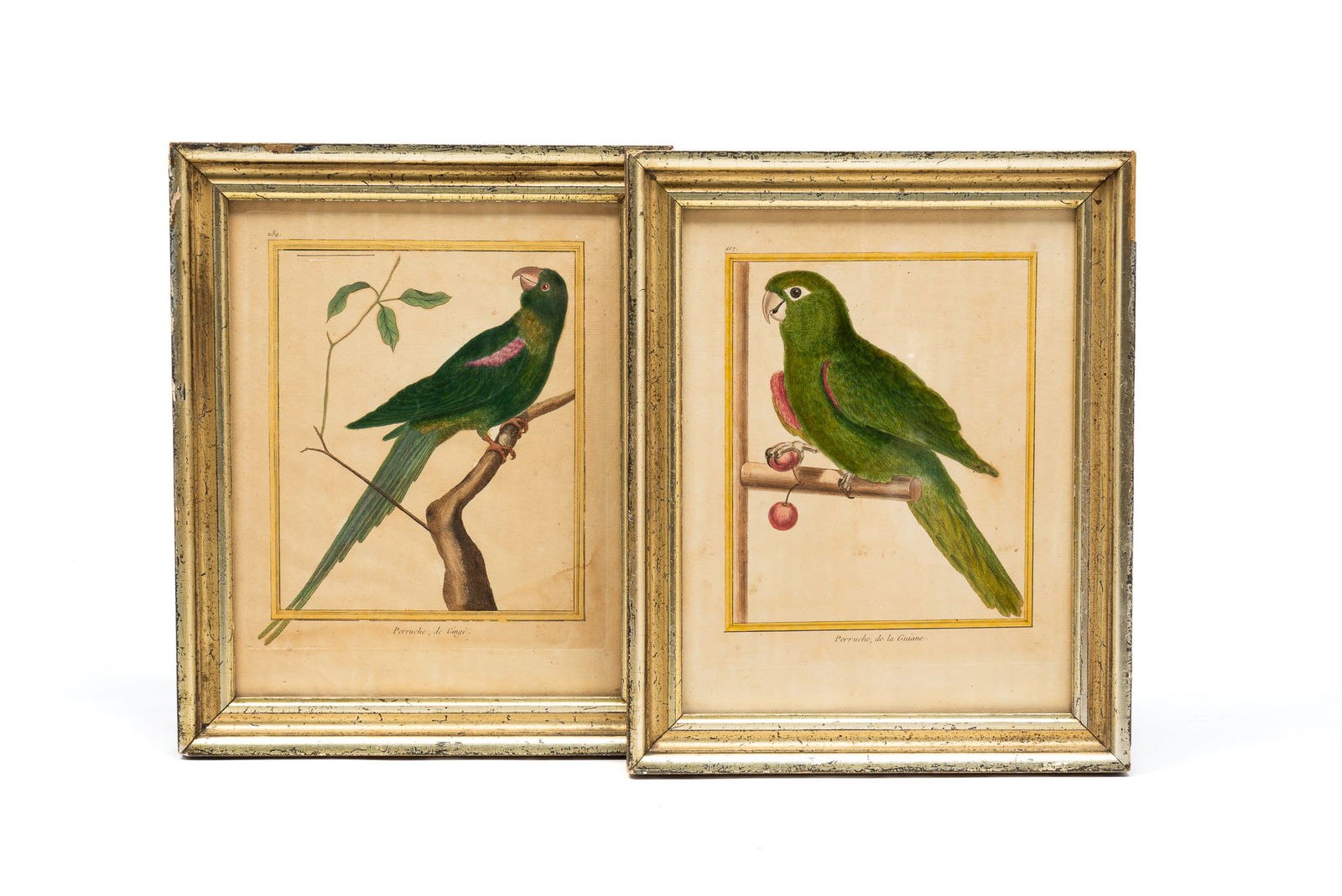 TWO ENGRAVED AND HAND COLORED PRINTS BY GEORGES-LOUIS LECLERC, COMTE DE BUFFON (1707-1788). (1 of 5)