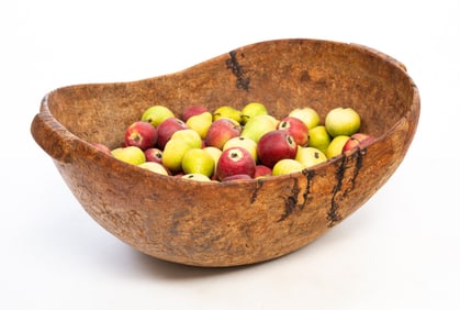 LARGE BURL BOWL WITH HANDLES.