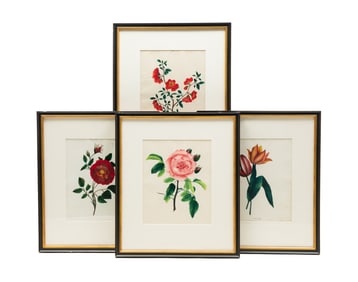 FOUR FLORAL PRINTS FOR NURSERYMEN BY DELLON MARCUS DEWEY (1819-1889).