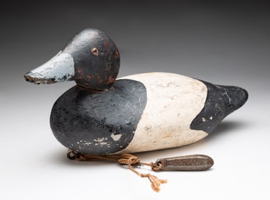 CARVED AND PAINTED WORKING BLUEBILL CANVASBACK DUCK DECOY.