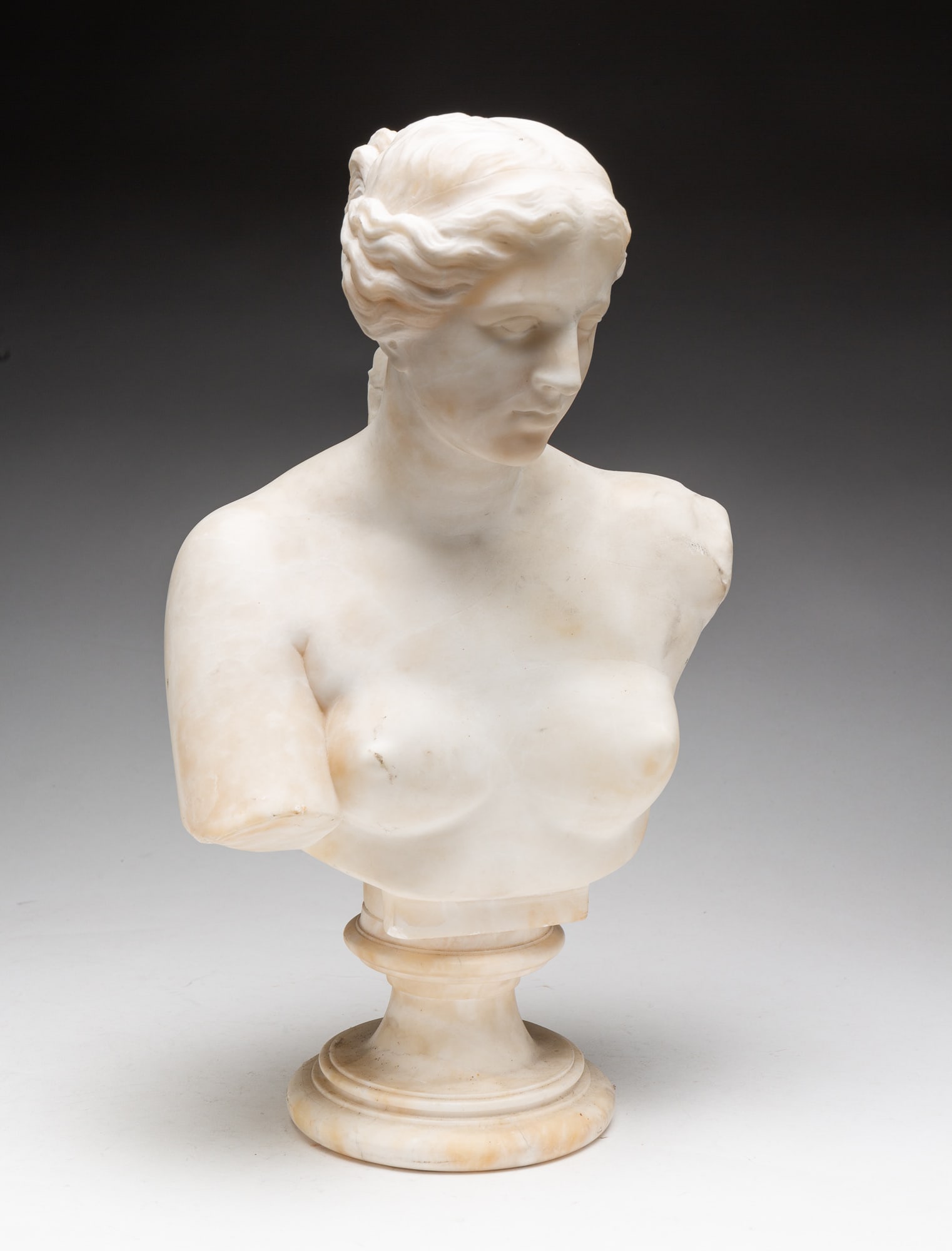VENUS DE MILO MARBLE BUST. (1 of 6)