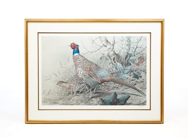 "RING-NECKED PHEASANT" BY BASIL EDE (1931-2016).