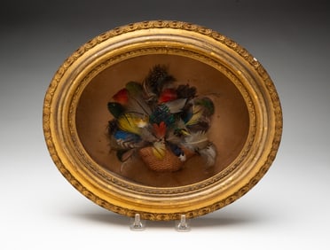 FRAMED MINIATURE BASKET OF FEATHERS.