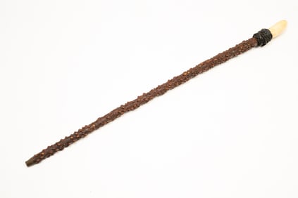 FOLK ART CANE WITH WHALE'S TOOTH.