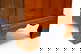 item-209106094=9