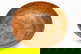 item-210980050=3