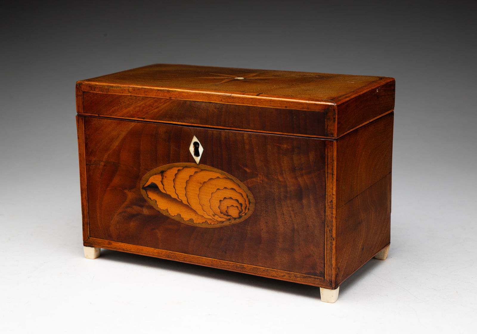 ENGLISH MAHOGANY AND MARQUETRY TEA CADDY.: England, 19th Century. Mahogany and rosewood secondary. Bone escutcheon and feet. Hinged lid with inlaid compass star, bone feet, and bone escutcheon above a shell inlay. Interior tin compartments wit