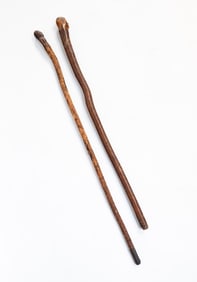 TWO AMERICAN FOLK ART CARVED CANES.