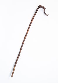 AMERICAN FOLK ART CARVED SNAKE AND LIZARD CANE.