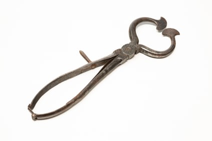 WROUGHT STEEL SUGAR NIPPERS WITH BRIGHT WORK ENGRAVING.