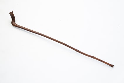 AMERICAN FOLKSY CARVED TREE BRANCH CANE.